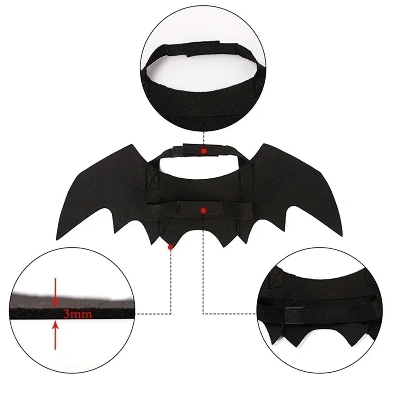 Dog wearing the felt bat wing costume during a trick-or-treat walk