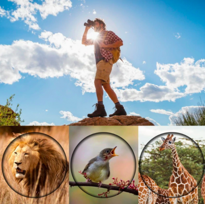 High Power Binoculars with 60x Magnification | Shock Resistant Rubber Grip, Center Focus, Carry Case and Cleaning Cloth