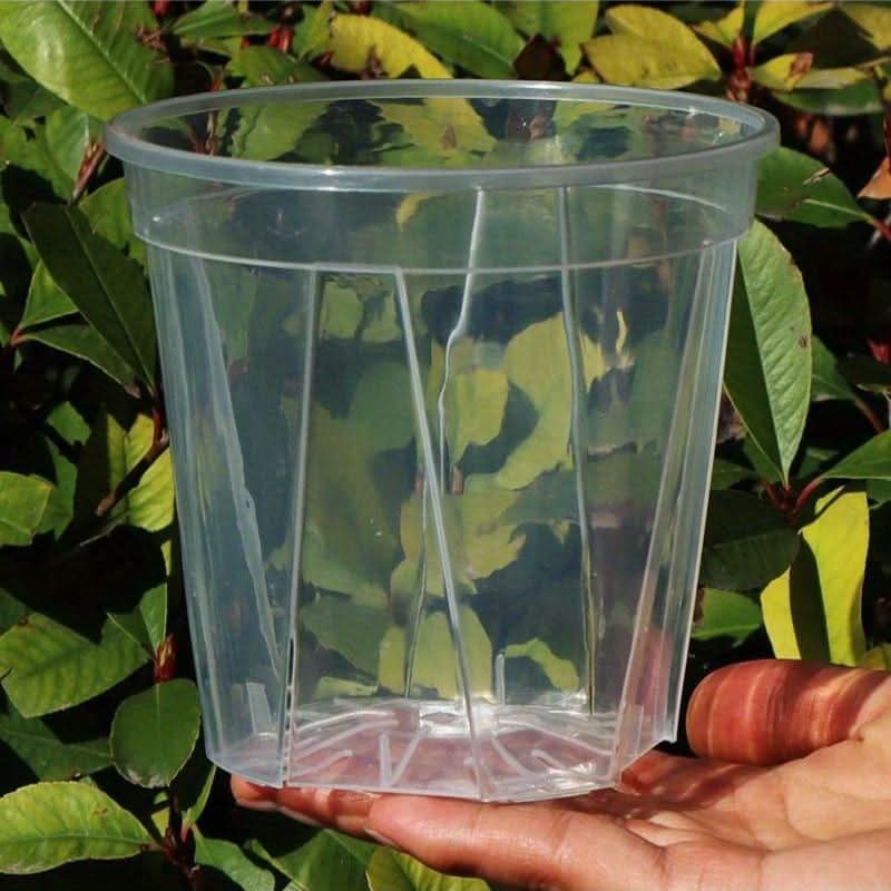 Transparent Plant Pots with Drainage Holes | 3 Sizes 3.94-5.51 In | Clear Design for Root Monitoring & Healthy Growth