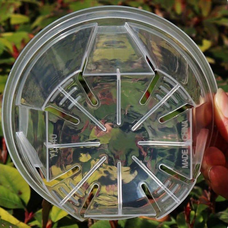 Transparent Plant Pots with Drainage Holes | 3 Sizes 3.94-5.51 In | Clear Design for Root Monitoring & Healthy Growth