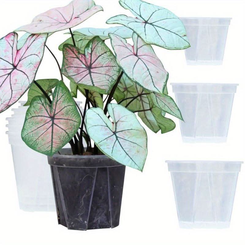 Transparent Plant Pots with Drainage Holes | 3 Sizes 3.94-5.51 In | Clear Design for Root Monitoring & Healthy Growth