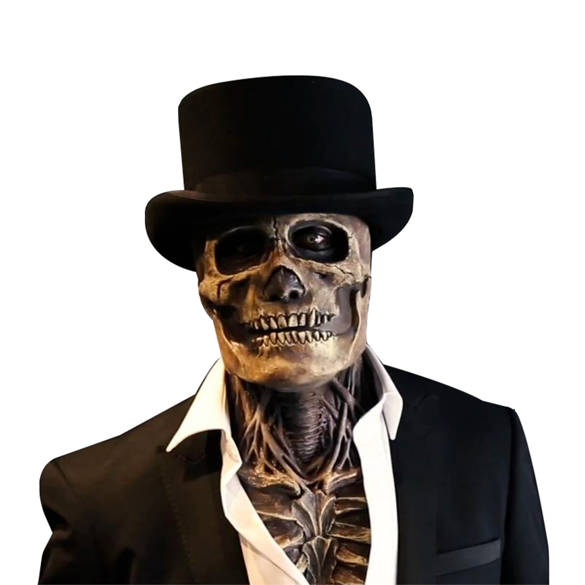 Latex skull mask front view showing hollow eye sockets