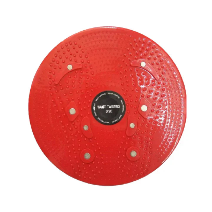 Dynamic Balance Board Trainer