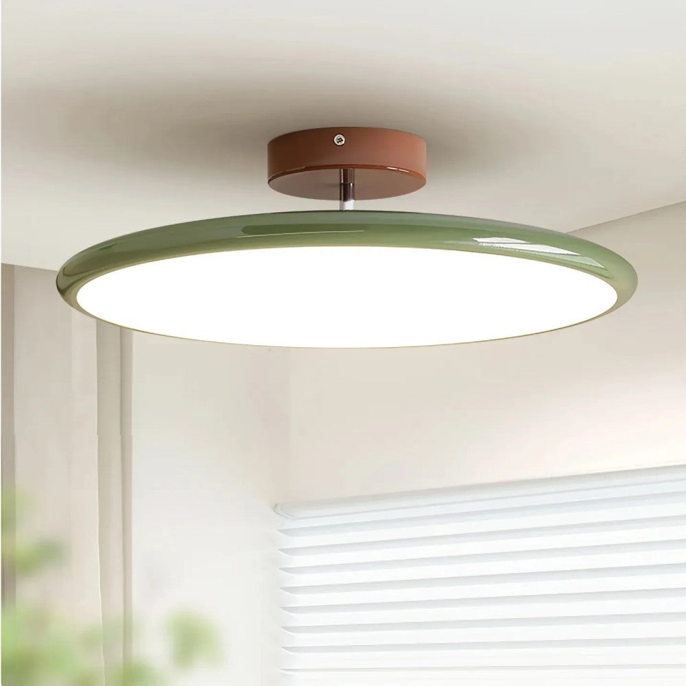 Modern Acrylic Ceiling Light LED Flush Mount