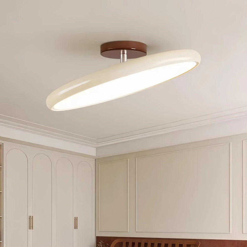 Modern Acrylic Ceiling Light LED Flush Mount