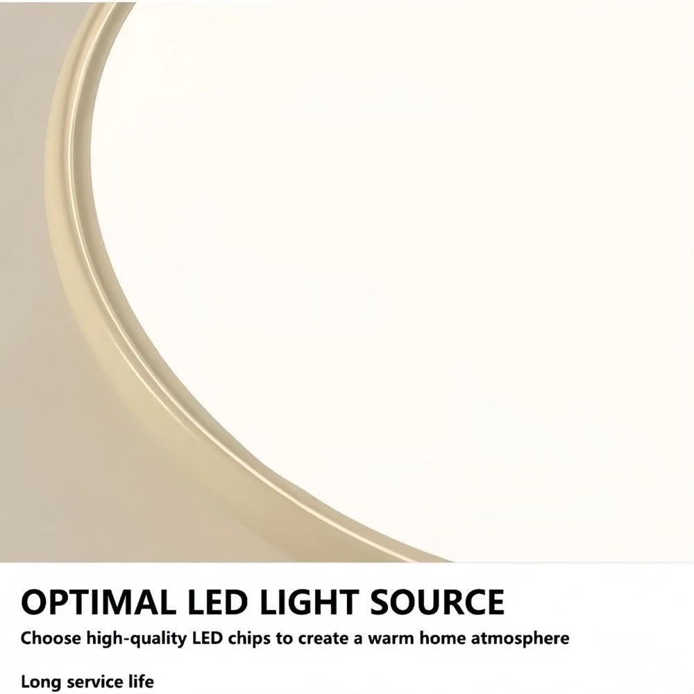 Modern Acrylic Ceiling Light LED Flush Mount