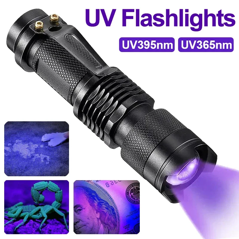UV Light Flashlight for Pet Urine and Hidden Stains | Compact Body, Tail Cap Switch | Handheld Inspection Lamp for Home or Work