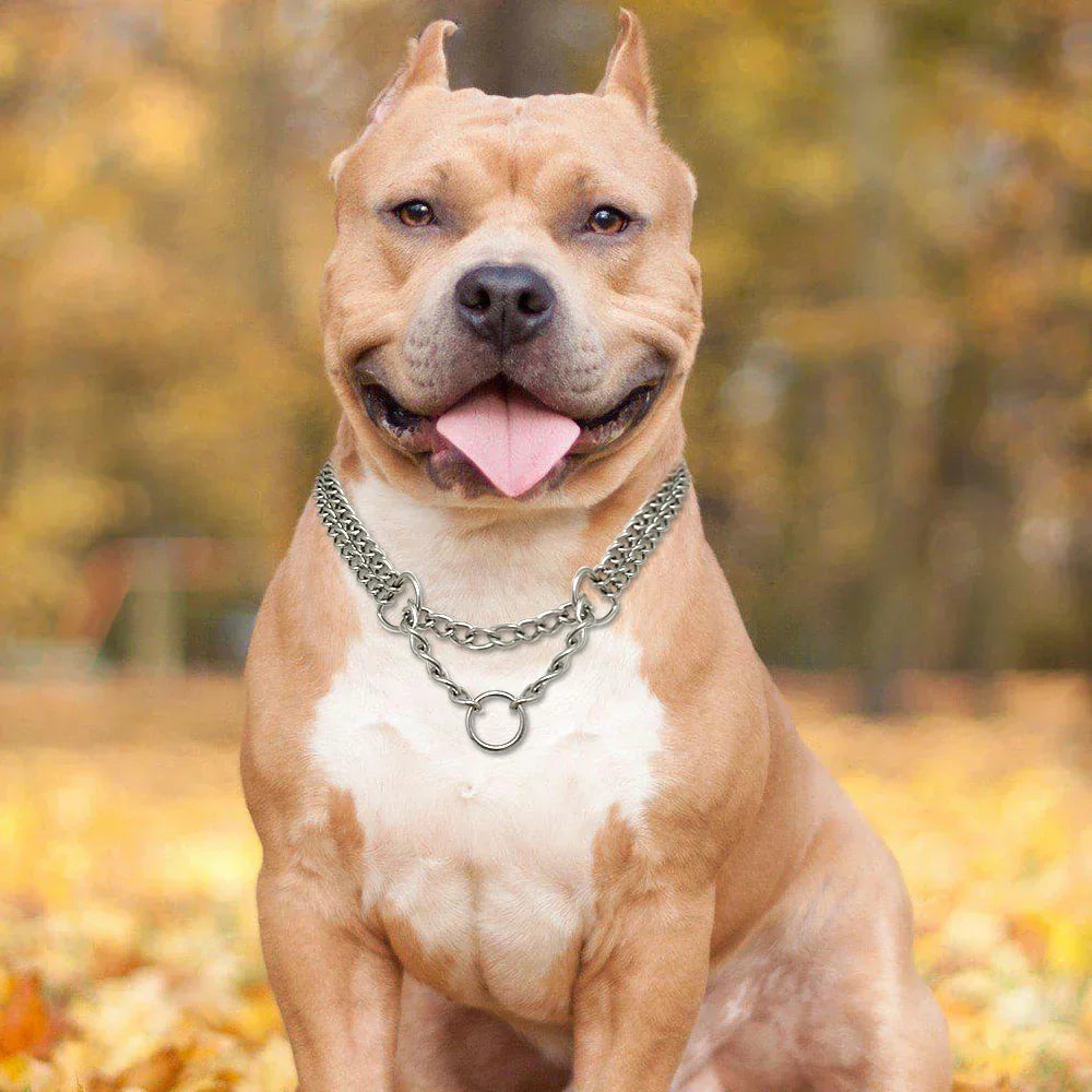 Double Chain Dog Collar with Limited Slip Action | 3 mm Stainless Steel Links, Neck 30 to 70 cm | Five Sizes from XS to XL