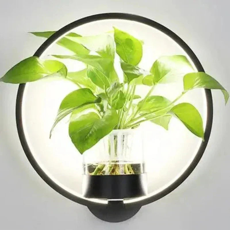 LED Sconce with a Built In Glass Pot | Plant Wall Hanging in Two Shapes, Warm or Cool White | Iron and Aluminum Frame