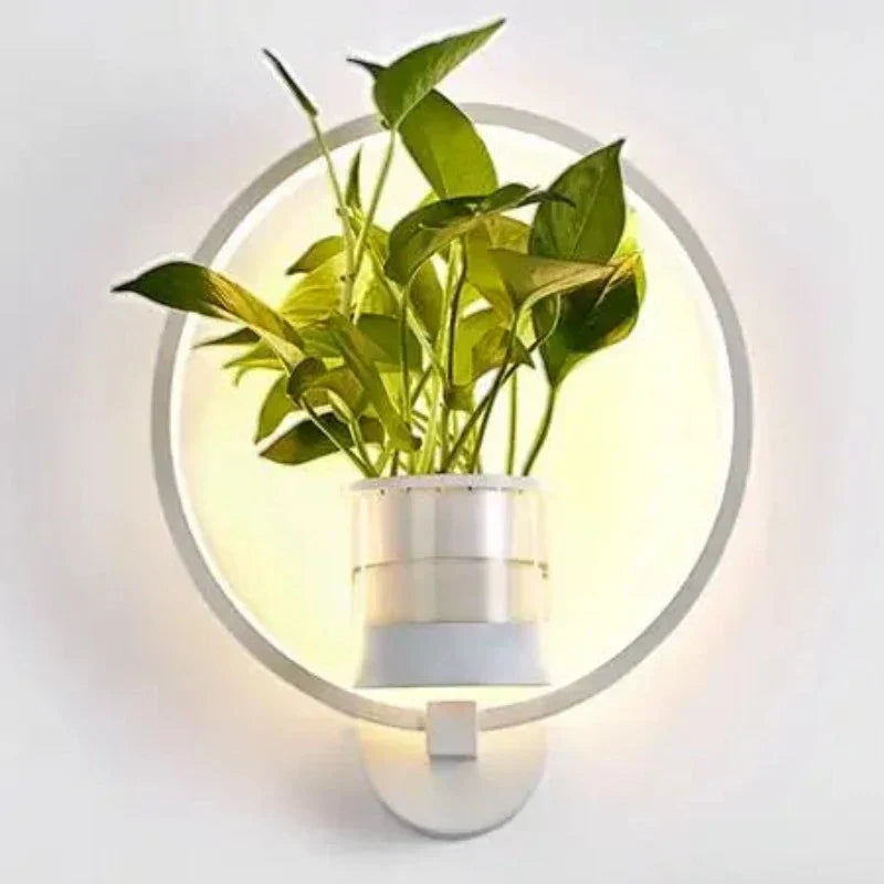 LED Sconce with a Built In Glass Pot | Plant Wall Hanging in Two Shapes, Warm or Cool White | Iron and Aluminum Frame