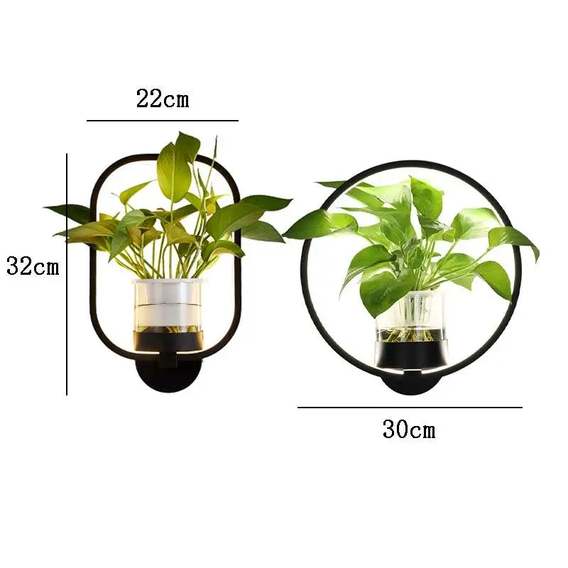 LED Sconce with a Built In Glass Pot | Plant Wall Hanging in Two Shapes, Warm or Cool White | Iron and Aluminum Frame