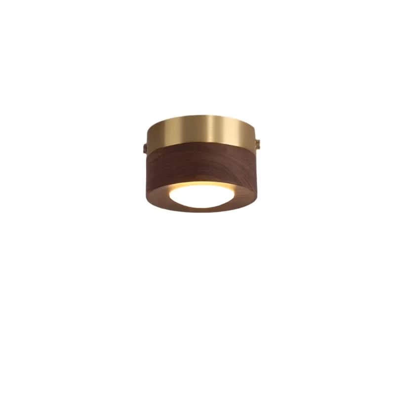 EMBERLED - Energy-saving Walnut Light Solution - Walnut Wood B