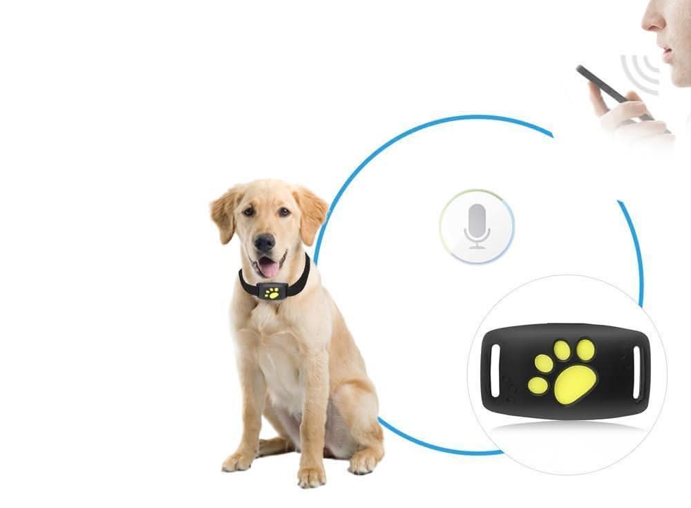GPS Tracking Smart Pet Collar for Cats | Real-Time Location & Activity Monitoring | Weather-Resistant Outdoor Safety