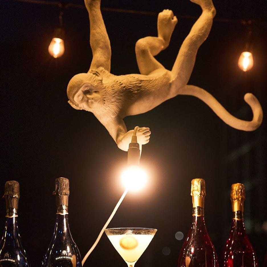 Monkey Pendant Light Hanging Ceiling Lamp