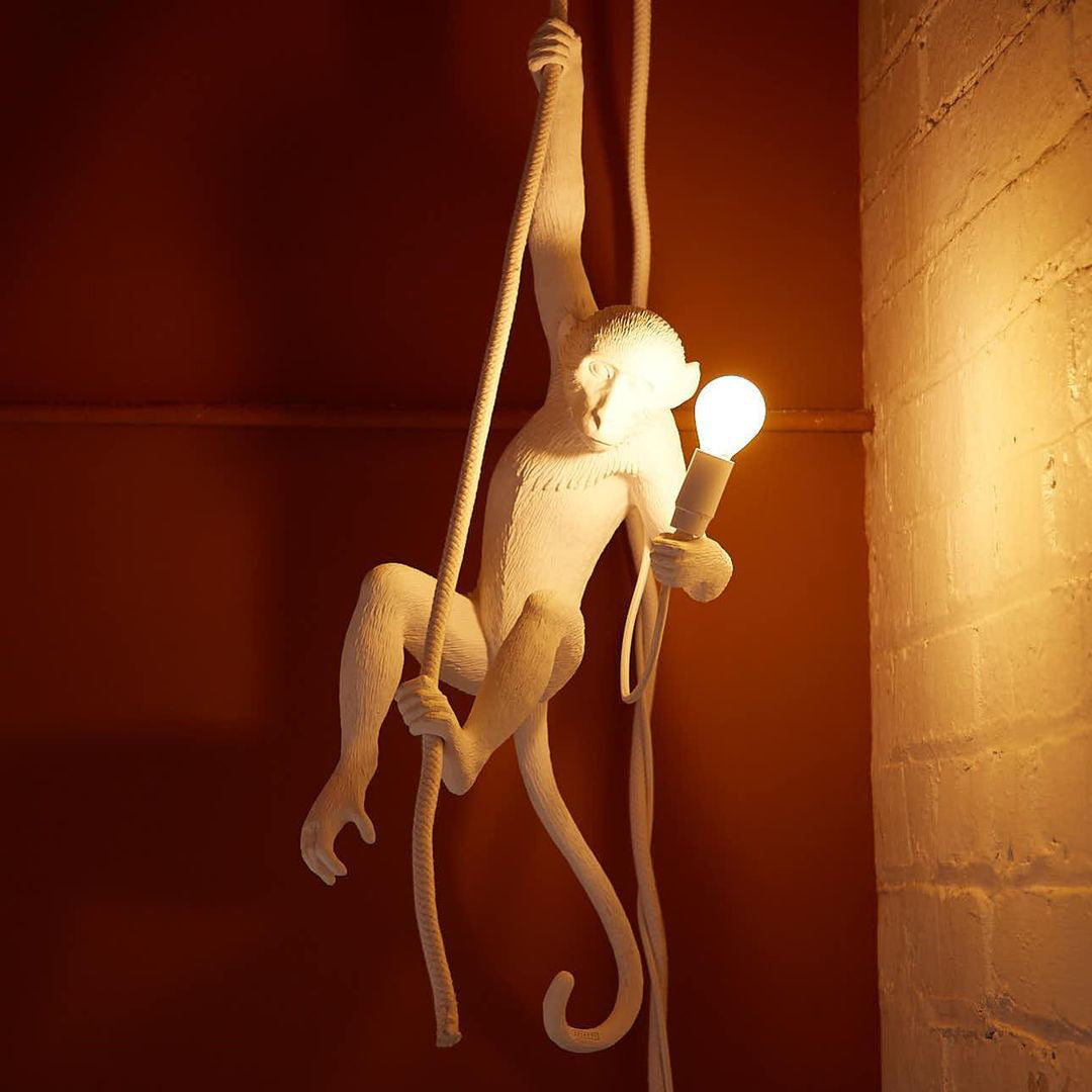 Monkey Pendant Light Hanging Ceiling Lamp