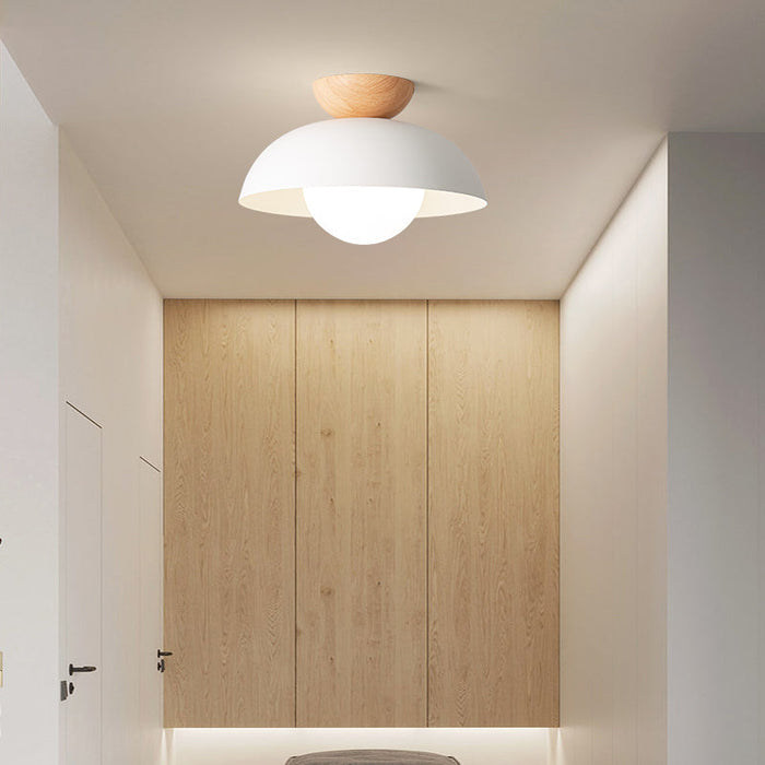 Nordic Iron Ceiling Light Minimal Flush