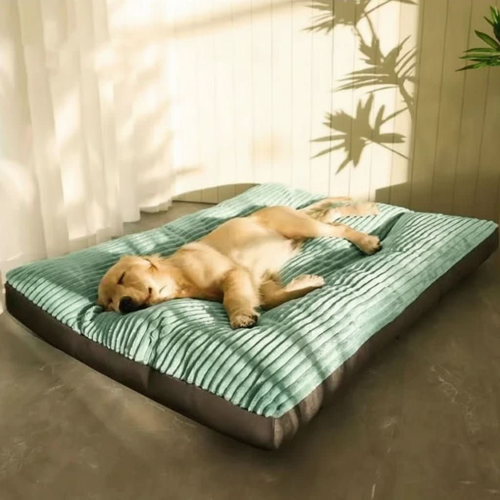 Orthopedic Dog Bed with Joint-Support Cushion | Sizes M to XL, Up to 47.2 x 37.4 In | Soft Plush Surface for All Dog Ages