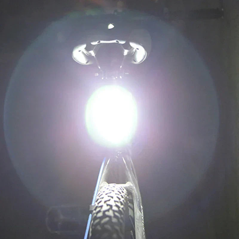 LED Bike Light with Flashing Safety Mode | Mounts at the Front or the Rear | USB Charging, 4 Color Options