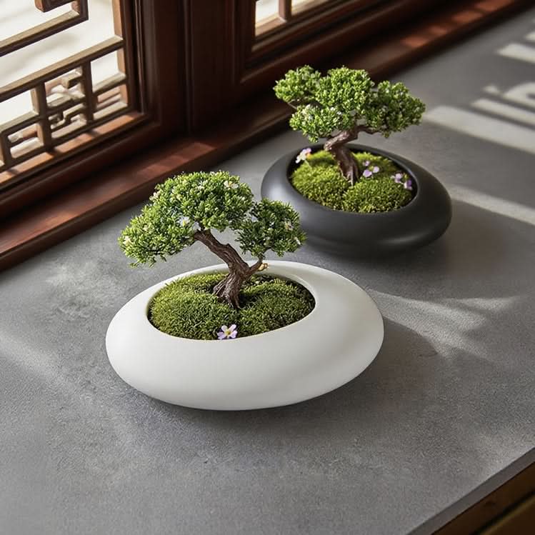 Shallow Ceramic Bonsai Pot 7.9 x 2 In | Black or White | Artistic Pebble-Textured Planter for Succulents & Bonsai