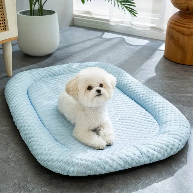 Cooling Dog Bed for Hot Weather Comfort