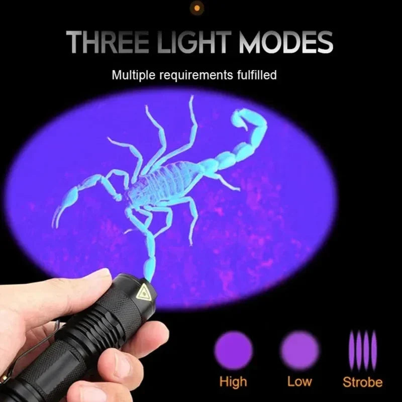 UV Light Flashlight for Pet Urine and Hidden Stains | Compact Body, Tail Cap Switch | Handheld Inspection Lamp for Home or Work