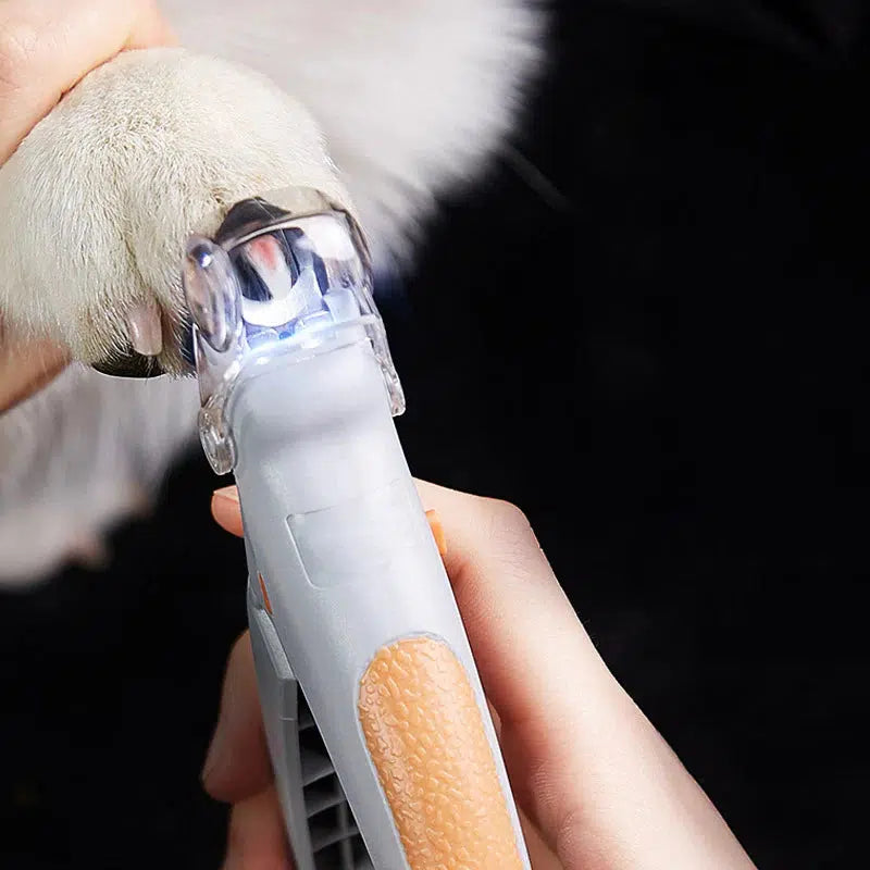 Dog Nail Cutter with LED Light and a Clear Magnifying Cap | Shows the Quick So You Do Not Cut Too Short | Also for Cats and Small Pets