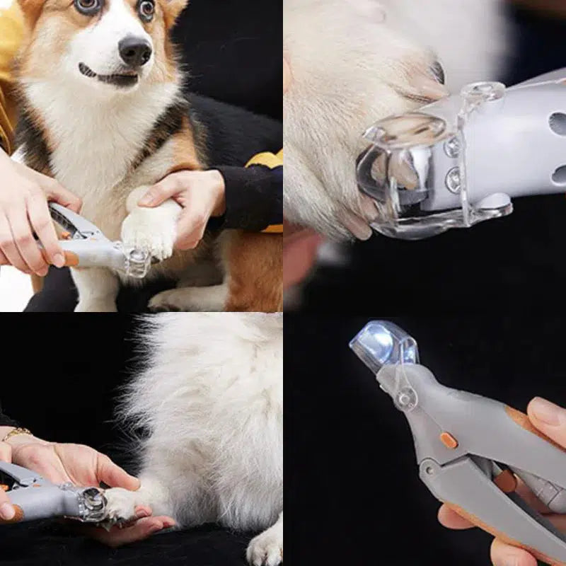 Dog Nail Cutter with LED Light and a Clear Magnifying Cap | Shows the Quick So You Do Not Cut Too Short | Also for Cats and Small Pets