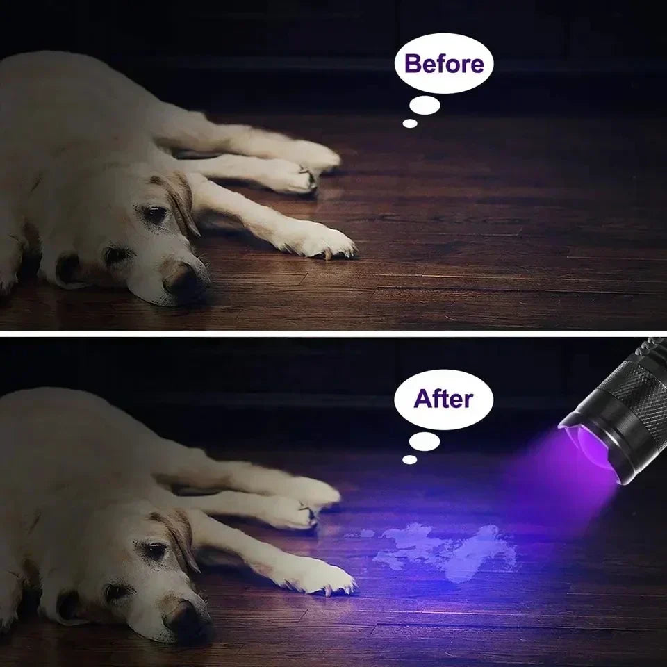 UV Light Flashlight for Pet Urine and Hidden Stains | Compact Body, Tail Cap Switch | Handheld Inspection Lamp for Home or Work