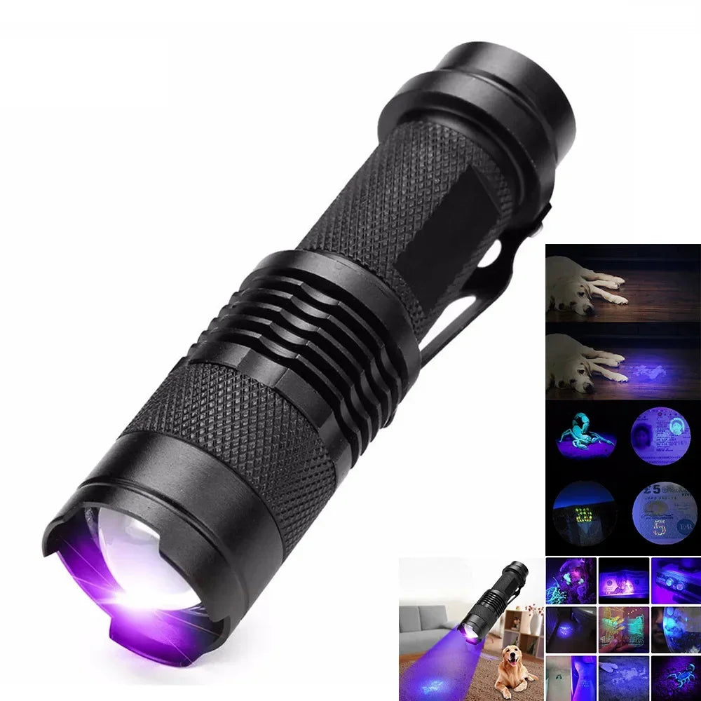 UV Light Flashlight for Pet Urine and Hidden Stains | Compact Body, Tail Cap Switch | Handheld Inspection Lamp for Home or Work