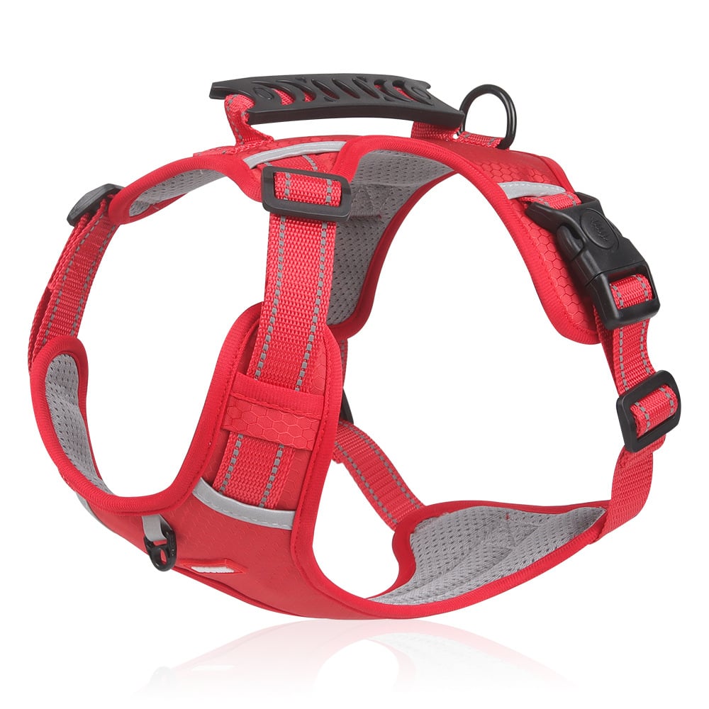 No Pull Dog Harness for Small Dogs and Larger Breeds | Mesh Chest Panel with a Back Handle | Five Sizes, XS to XL