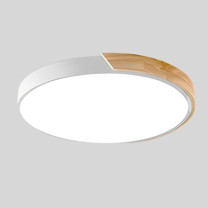 Minimal Round Ceiling Light