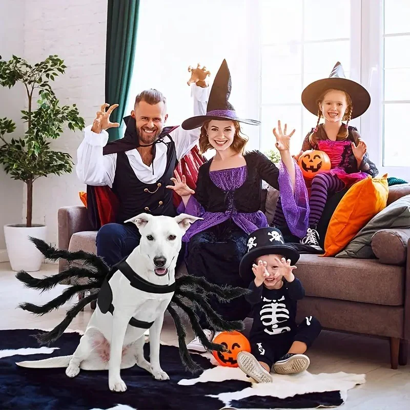Close-up of the realistic spider legs on the pet costume