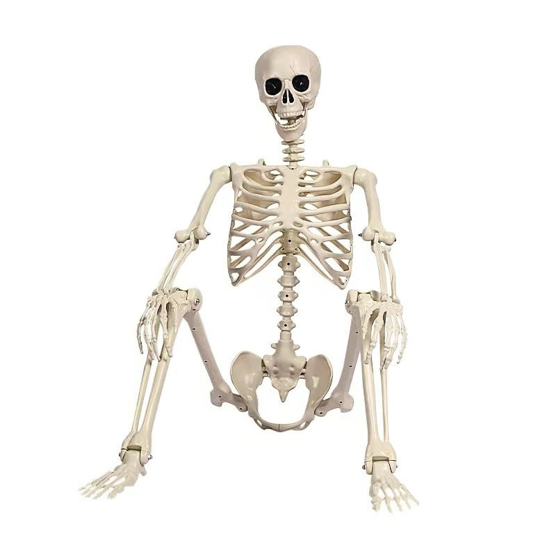 Full size skeleton Halloween prop detail