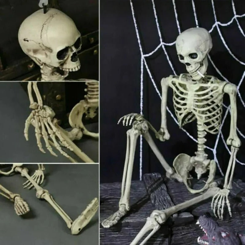 Poseable 16 in Halloween skeleton figure with movable joints