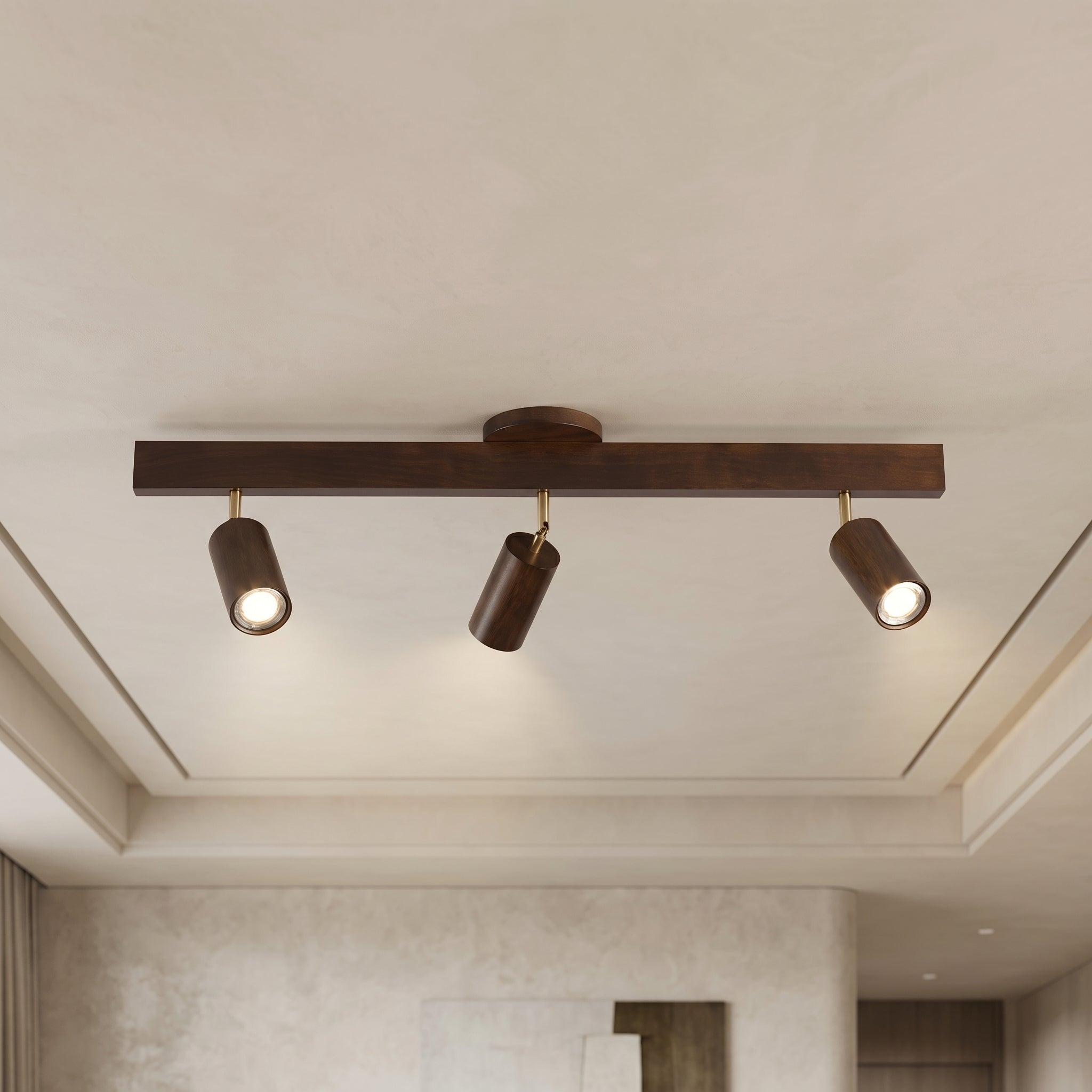 Wood Track Lighting Adjustable Spotlights