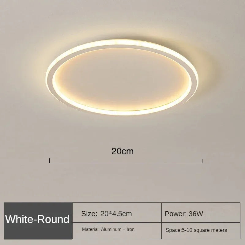 Round Scandinavian LED Light Ceiling Fixture | Slim Flush Mount Lamp for Bedroom and Hallway | 3 Finishes