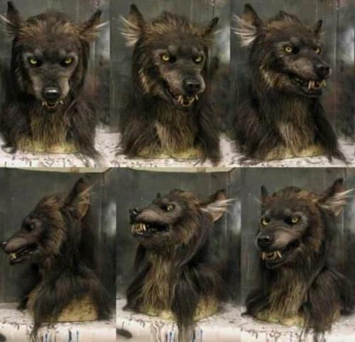 Werewolf costume mask side view showing hair detailing
