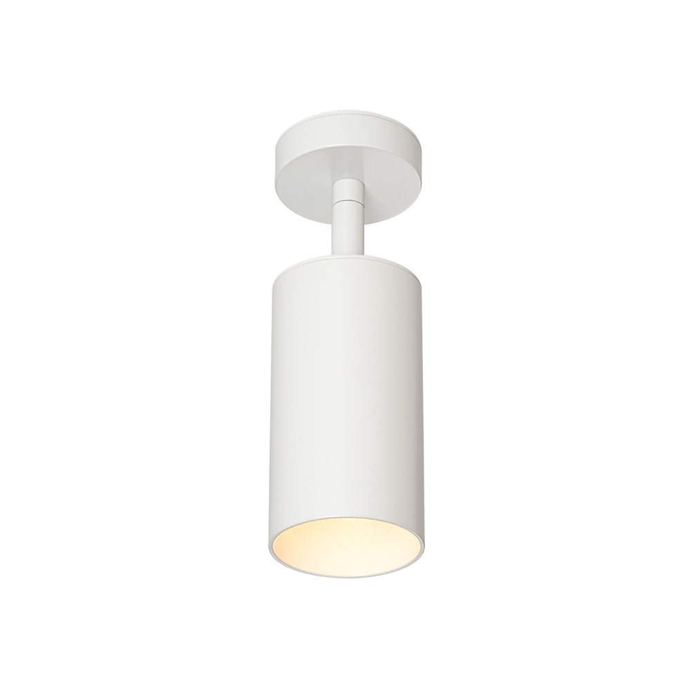 Directional Ceiling Spot Light