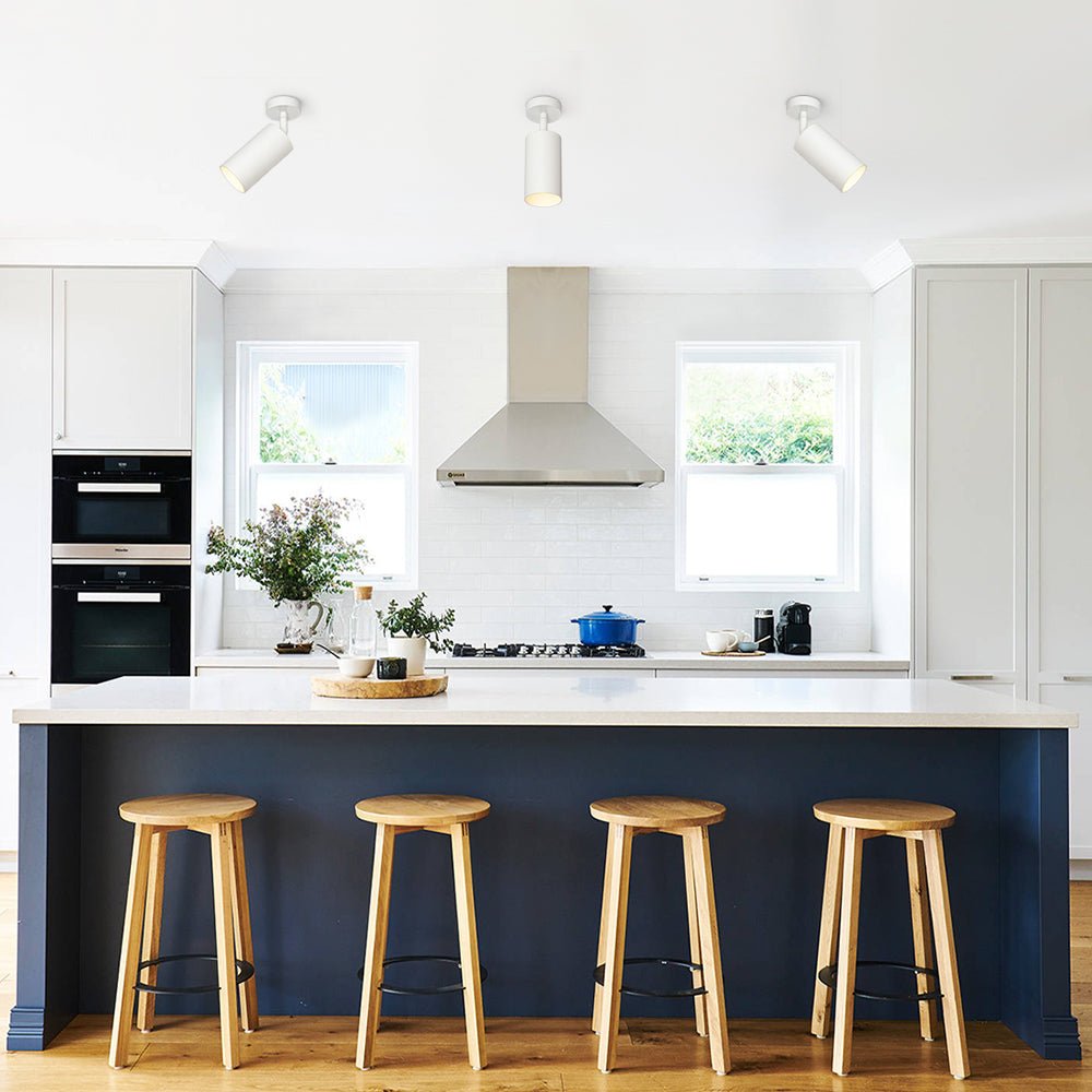 Directional Ceiling Spot Light