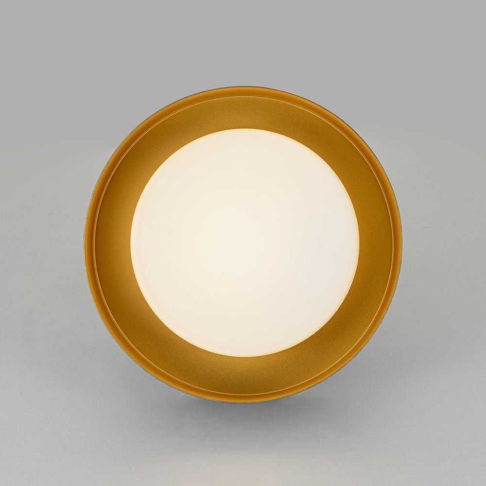 Drum LED Flush Mount Light