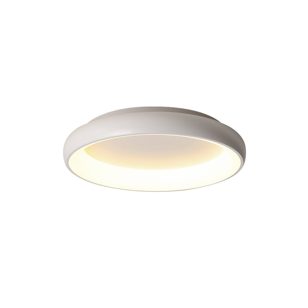 Round LED Flush Mount Ceiling Light