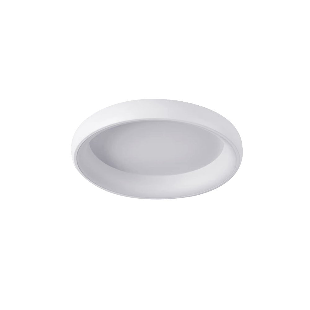 Round LED Flush Mount Ceiling Light